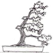 Bonsai Form Fukinagashi