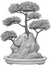 Ishisuki in einem Stein wachsende Bonsai Form