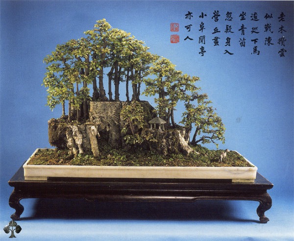 Manlung Penjing