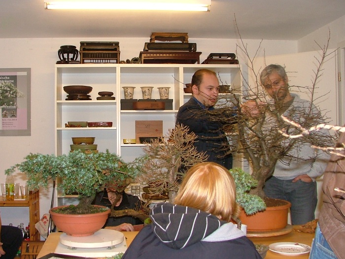 Bonsai club