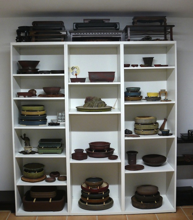 schalenregal bonsai