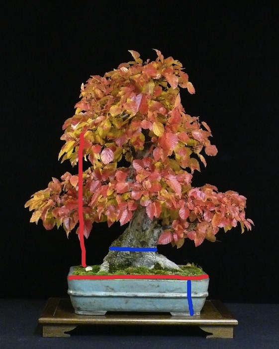 bonsai pottery