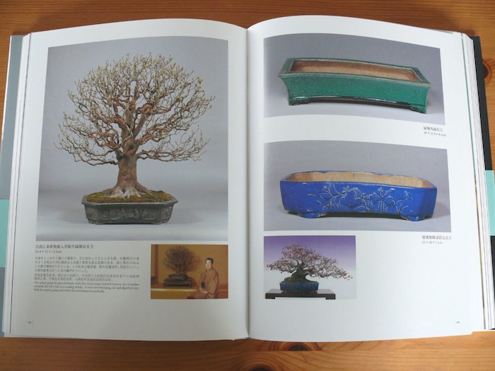 bonsai pots kunio kobayashi