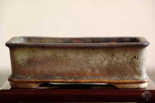 Shohin pot by John Pitt