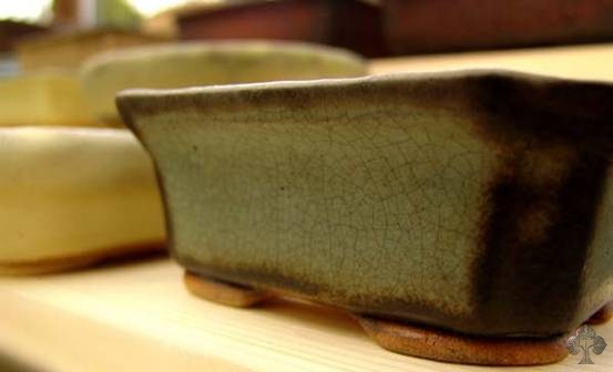 Bonsai pot