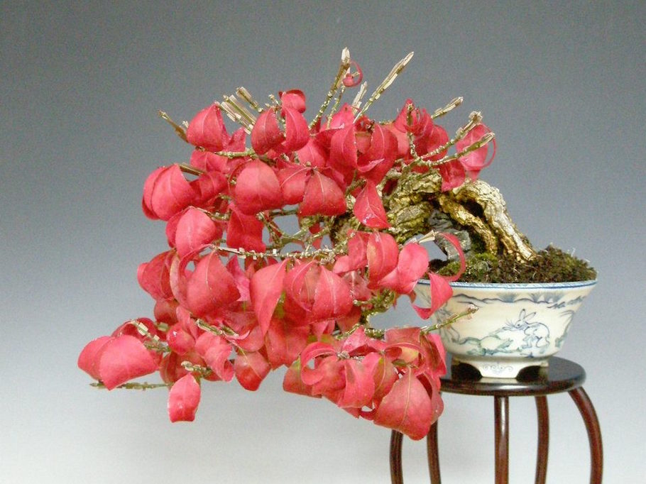 Katsumi Komiya shohin