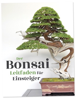Der Bonsai Leitfaden für Einsteiger, eBook