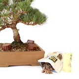 Verschiedene Arten von Bonsai-Dünger