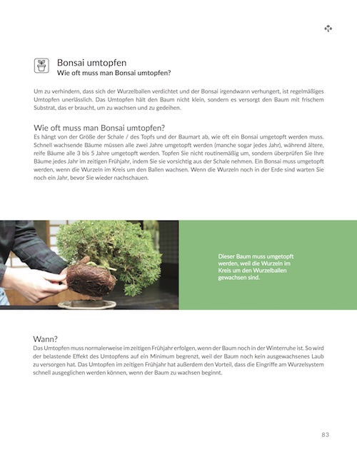 Der Bonsai Leitfaden fr Einsteiger (eBook) - Bonsai Empire