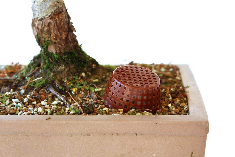 Die Dngung von Bonsai - Bonsai Empire
