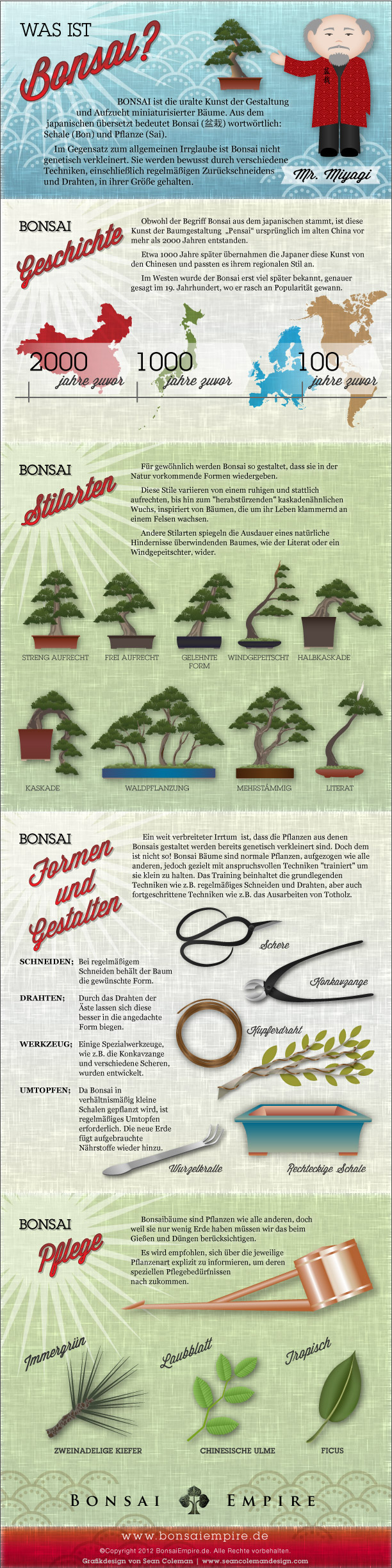Bonsai infografik