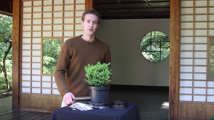Oscar, Gründer von Bonsai Empire