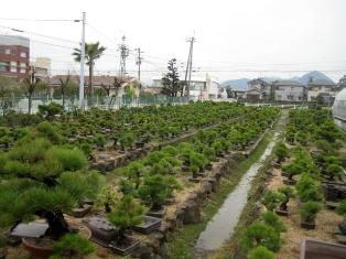 Kinashi, Takamatsu