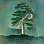 Pocketneedletrees Avatar